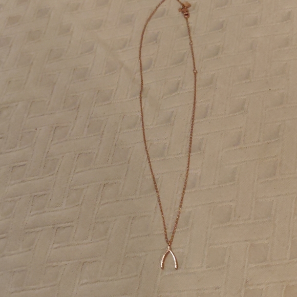 Wishbone Necklace